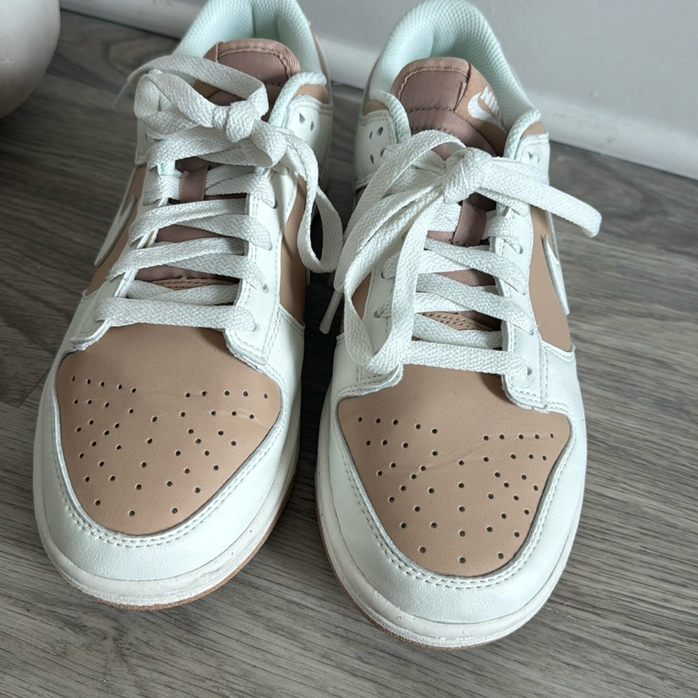 Rose Nike Dunks - image 1